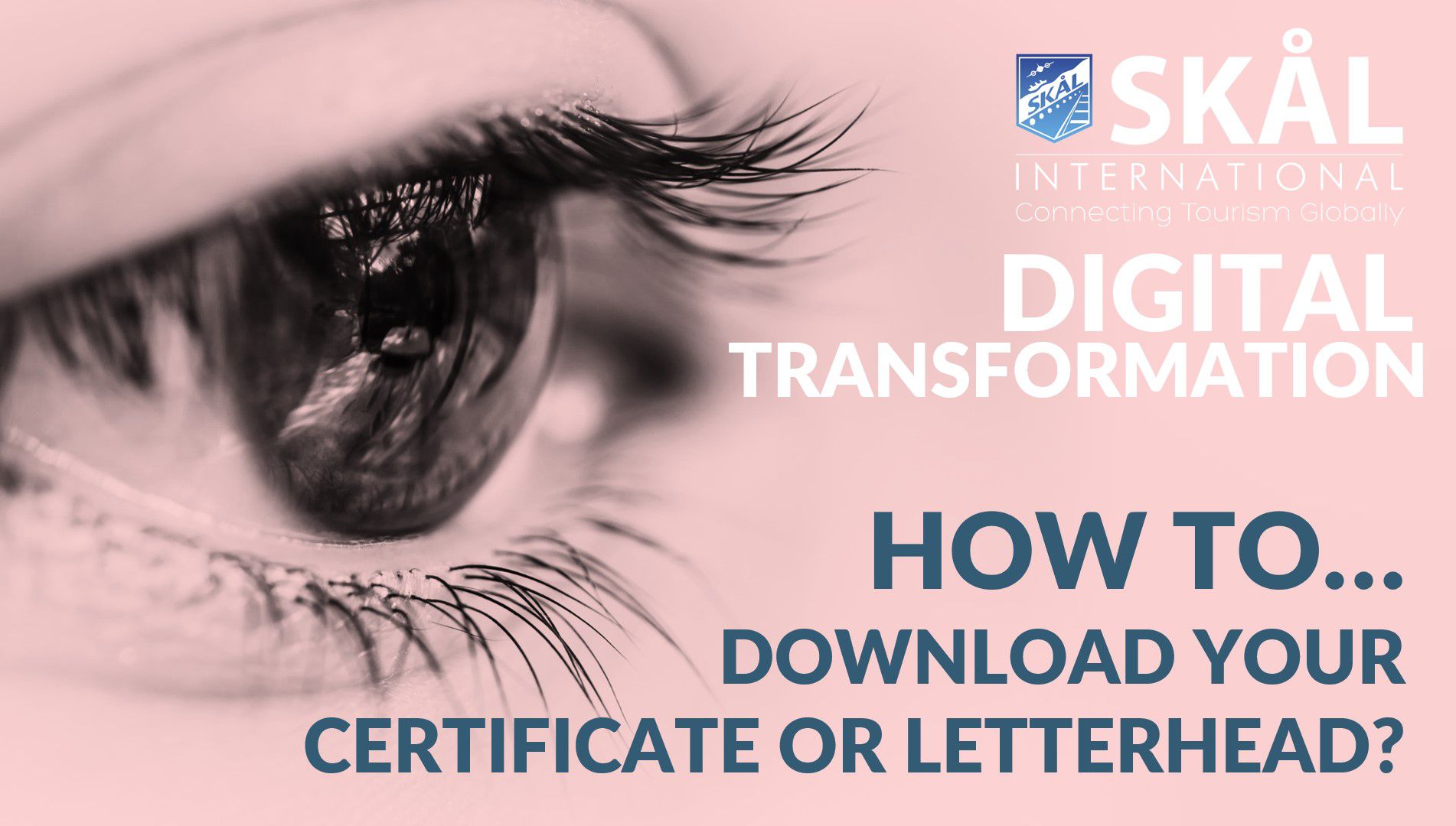 How to download your certificate or letterhead